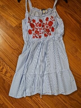 Speechless Blue & Red Striped Embroidered Sundress